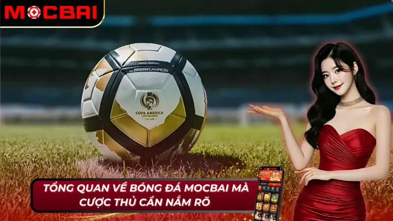 Bóng đá Mocbai: Trải Nghiệm Cá Cược Hấp Dẫn Nhất! 2 Những nét cơ bản về bóng đá tại Mocbai