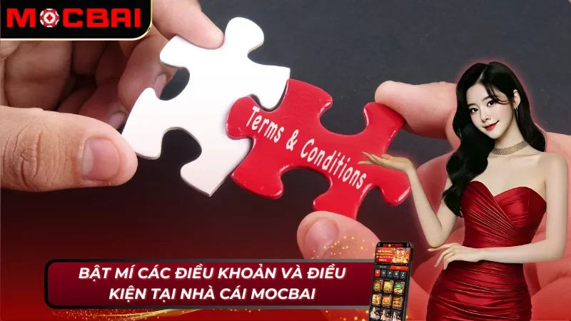 Bật Mí Điều Khoản Và Điều Kiện Mocbai Chuẩn Nhất Năm 2025 2 Bật mí các điều khoản và điều kiện Mocbai