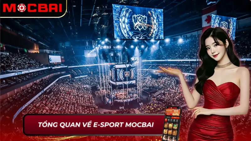 E-Sport Mocbai: Thế Giới Cá Cược Thể Thao Điện Tử Sôi Động 2 Thông tin cơ bản về E-Sport Mocbai
