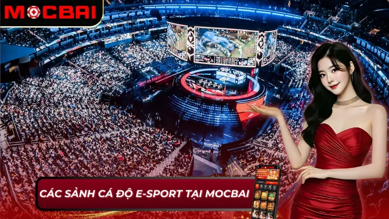 E-Sport Mocbai: Thế Giới Cá Cược Thể Thao Điện Tử Sôi Động 3 E-Sport Mocbai với những sảnh game chất lượng