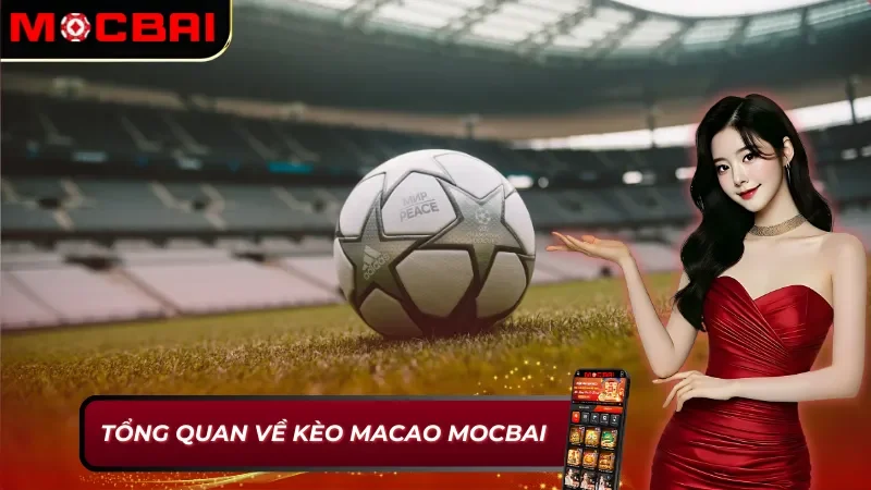 Kèo Macao Mocbai - Tất Tần Tật Những Điều Cược Thủ Cần Biết 2 Những thông tin thú vị xoay quanh kèo Macao Mocbai