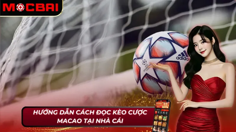 Kèo Macao Mocbai - Tất Tần Tật Những Điều Cược Thủ Cần Biết 4 Chi tiết cách đọc kèo Macao Mocbai