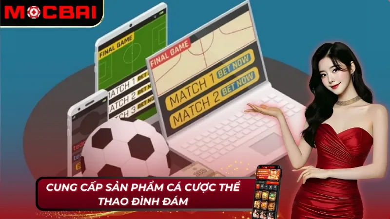 SBOBET Sports Mocbai - Nhà Cung Cấp Cá Cược Thể Thao Uy Tín 3 Cá cược thể thao - Sản phẩm chất lượng tại SBOBET Sports Mocbai