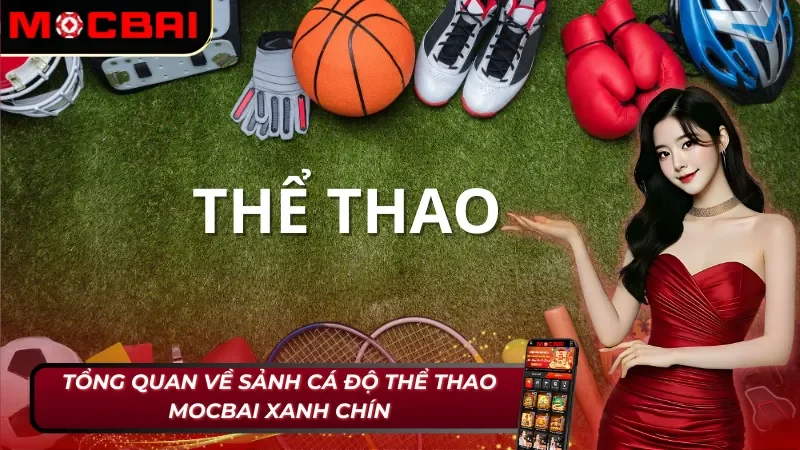 Thể Thao Mocbai - Trải Nghiệm Sảnh Cược Chất Lượng Số Một 2025 2 Thông tin chung về sảnh cược thể thao Mocbai